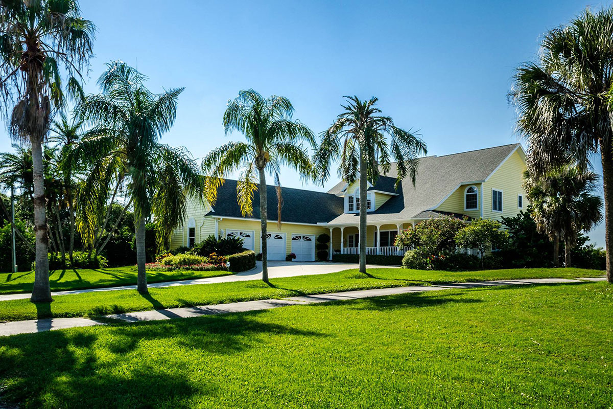 Home with palm trees in the yard